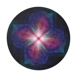 Zen center of a flower