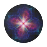Zen center of a flower